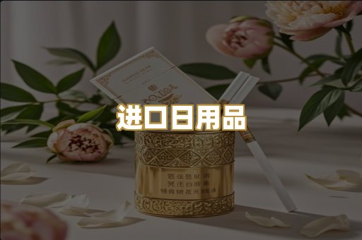 进口日用品